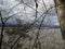 View of a River behind Trees.