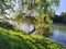 A view of a river with a bent tree