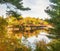 A view of the river and the bridge between the branches of trees. Autumn beautiful view.