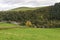 A view of river Dee running through a small valley in Cairngorms national park during autumn season, Scotland