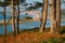 View of a river delta and a barrier beach in southern Devon, UK.