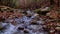 View of the river flowing from the mountain waterfall.