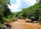 View of river in the forest