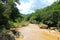 View of river in the forest