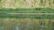 View of river and its green banks covered with forest. View from floating raft. Reflection of scenery on water surface.