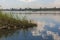 View of river nile in Egypt with grass reeds