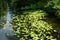 View of the river in the old town of Spandau in August. Berlin, Germany