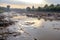 view of river, with overflowing water carrying debris and pollutants