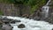 View river scenes in forest, national park Dombay, Caucasus, Russia