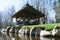 View of the river in spring, resting on the island, picnic place