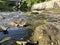 A view of a river on a sunny day.