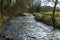 A view of  the River Syfynwy approaching the Gelli bridge, Wales, an eighteenth century, grade 2 listed bridge