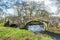 A view of the River Syfynwy flowing under the twin arches of the Gelli bridge, Wales