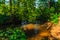 View of the river and trees flooded with sun