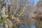 View of a river, with trees, rocks and vegetation on the banks