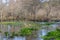 View of a river, with trees, rocks and vegetation on the banks