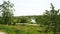 View of the River and vegetation in the Delta del Llobregat