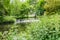 View of the River Wandle and weir