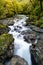 View of the river and waterfall at the chasm, milford sound