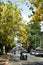 View on road with big tree with yellow flowers, cars, motorbikes and traditional Thai