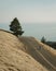 View of road on Mount Tamalpais, California