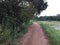 A view of a road near a lake in a rural setting in Sri Lanka in the evening. A green vision. Clear blue sky.