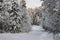 View of the road in the winter forest, Vuokatti, Finland