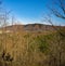 View of Roanoke Mountain From Buck Mountain Trail Loop