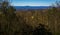 View of Roanoke Valley From Buck Mountain Loop Trail