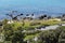 A view of the rocks and the Moai statue on the bank of Lyal Bay, Wellington, New Zealand