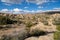 View of the rocky desert landscape of Joshua Tree National Park, near White Tank Campground