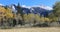 View of rocky mountain with yellow aspens 4K