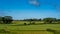 A view of rolling English countryside in summer.