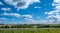 A view of rolling English countryside in summer.