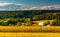 View of rolling hills near Cross Roads, Pennsylvania.