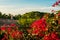 View from romantic balcony