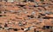 View of Roof Tops of Shanty Town in Cuzco