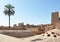 View of the roofs of ancient and half-destroyed houses and traditional architecture and a beautiful palm tree,Yazd,Iran