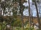 View of Rooftops and Autumn Hills Through Trees in the Village of Shelburne Falls