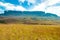 View of Roraima Tepui, Gran Sabana, Venezuela