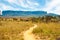 View of Roraima Tepui, Gran Sabana, Venezuela