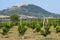 View of Rotondella, Basilicata, Italy