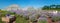 view of rows of blooming lavender field panorama with boxes greenhouses