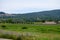 View on rows of blossoming purple lavender, green fiels and Lacoste village in Luberon, Provence, France in July