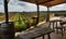 A view of rows of vines in a vineyard from a villa balcony with wooden tables and chairs