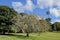 A view in the Royal Botanic Gardens in Sydney, Australia on a sunny spring afternoon