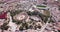 view of ruins of antique Roman amphitheatre and Theatre on background of modern Merida cityscape, Spain