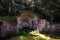 View of the ruins of Egeria\\\'s Nymphaeum (Ninfeo di Egeri) located in Park of the Caffarella in Rome, Italy