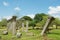 View of the ruins of the Sacred city in Anuradhapura, Sri Lanka.