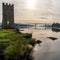 View of the ruins of the Torres de Oeste Castle and fortress on the Arousa River in Galicia